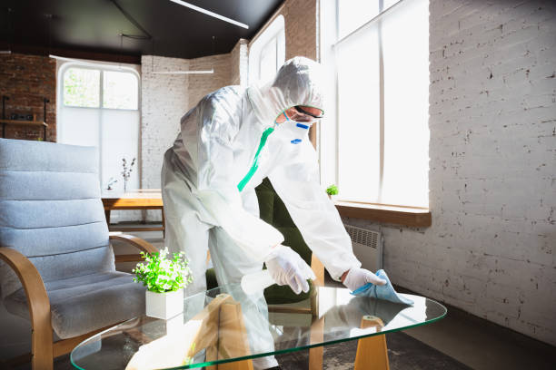 Best Mold Remediation for Healthcare Facilities  in Signal Hill, CA